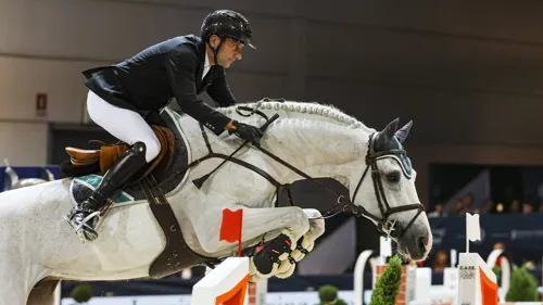 image cheval asep.info